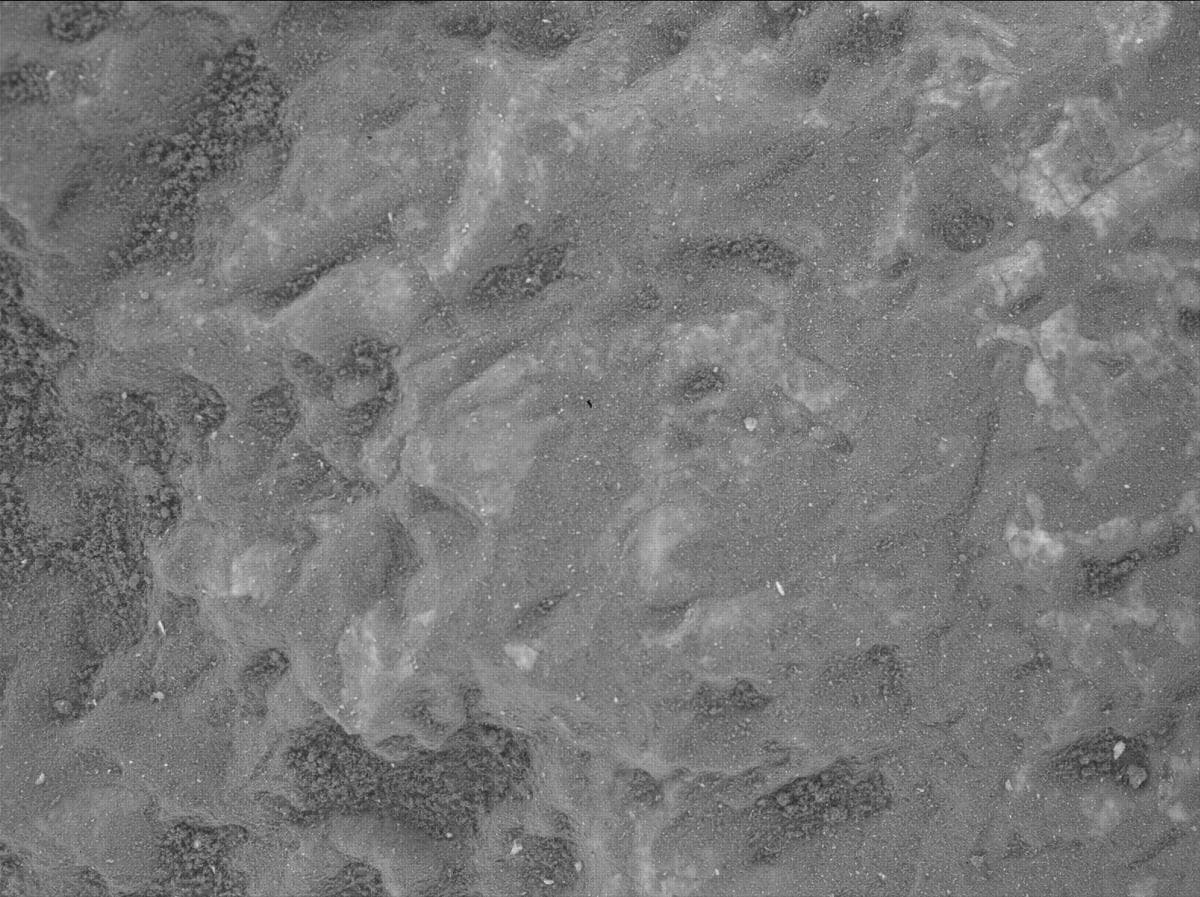 Mars image captured by SHERLOC_WATSON on Perseverance