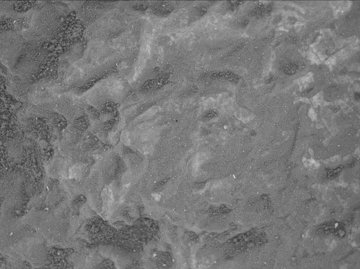 Mars image captured by SHERLOC_WATSON on Perseverance