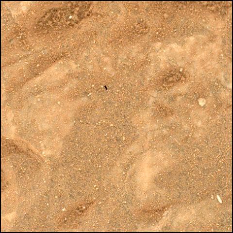 Mars rover photo