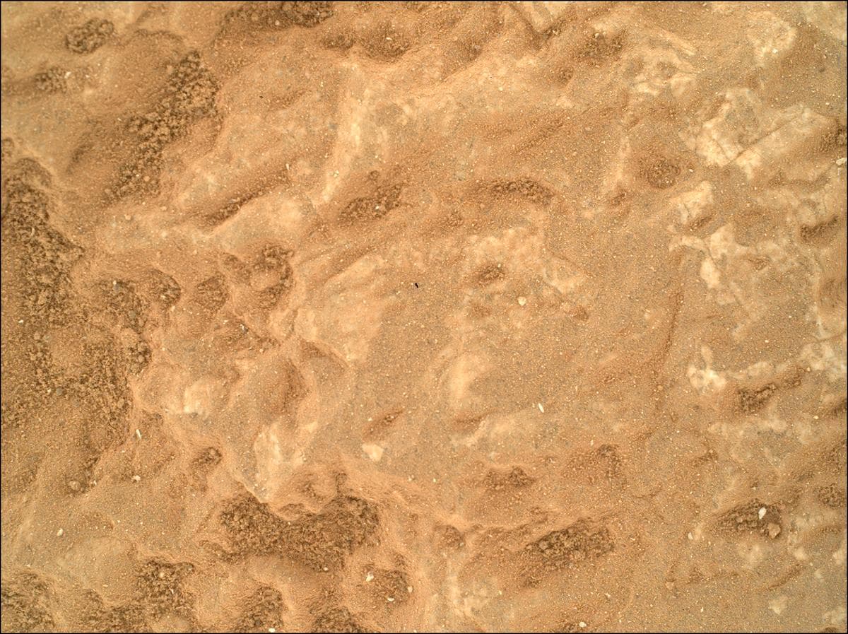 Mars image captured by SHERLOC_WATSON on Perseverance