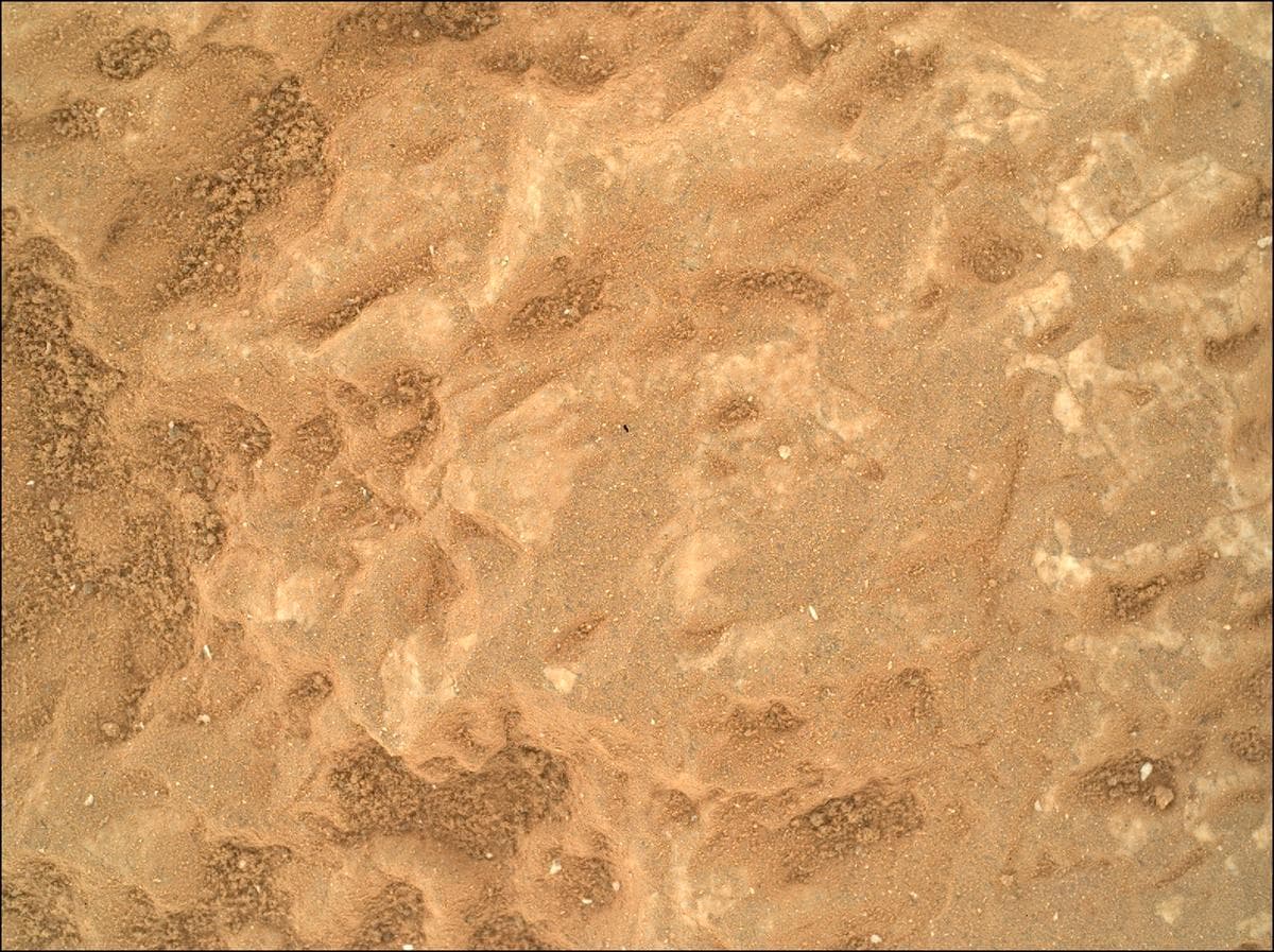 Mars image captured by SHERLOC_WATSON on Perseverance