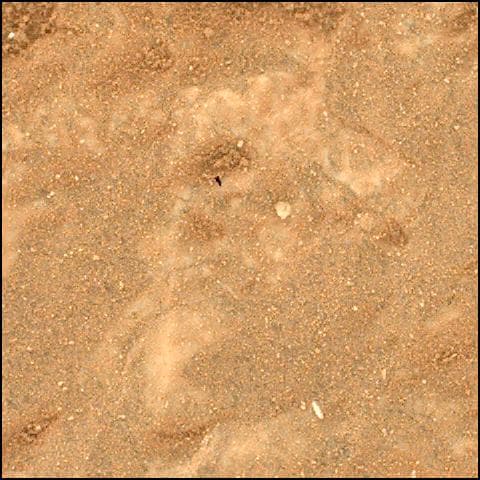 Mars image captured by SHERLOC_WATSON on Perseverance
