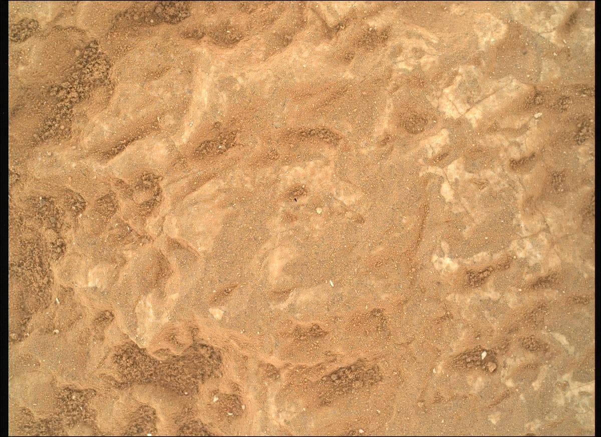 Mars image captured by SHERLOC_WATSON on Perseverance