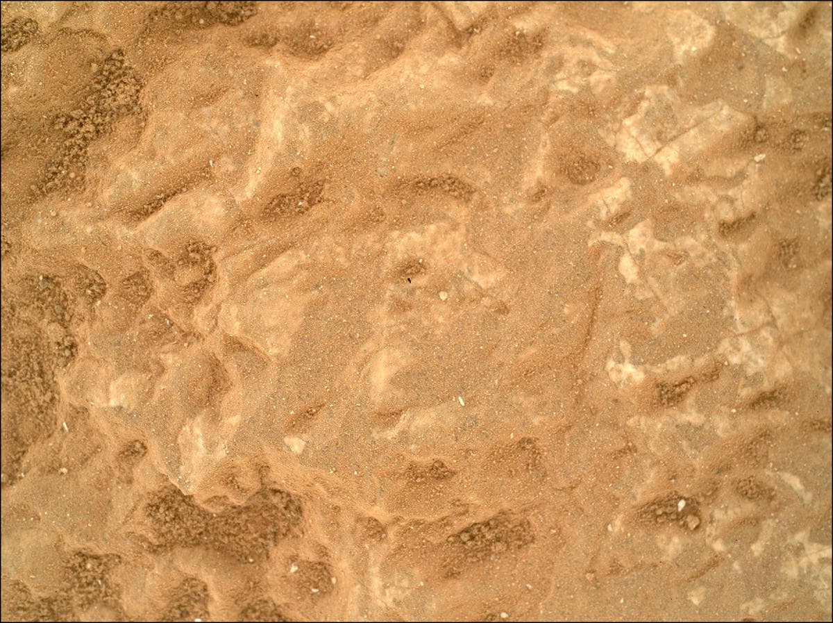 Mars image captured by SHERLOC_WATSON on Perseverance
