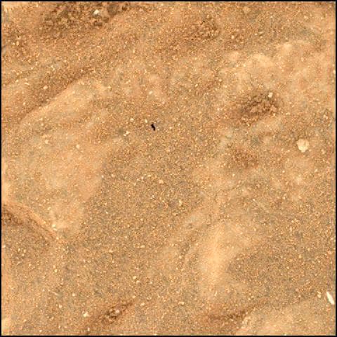 Mars image captured by SHERLOC_WATSON on Perseverance