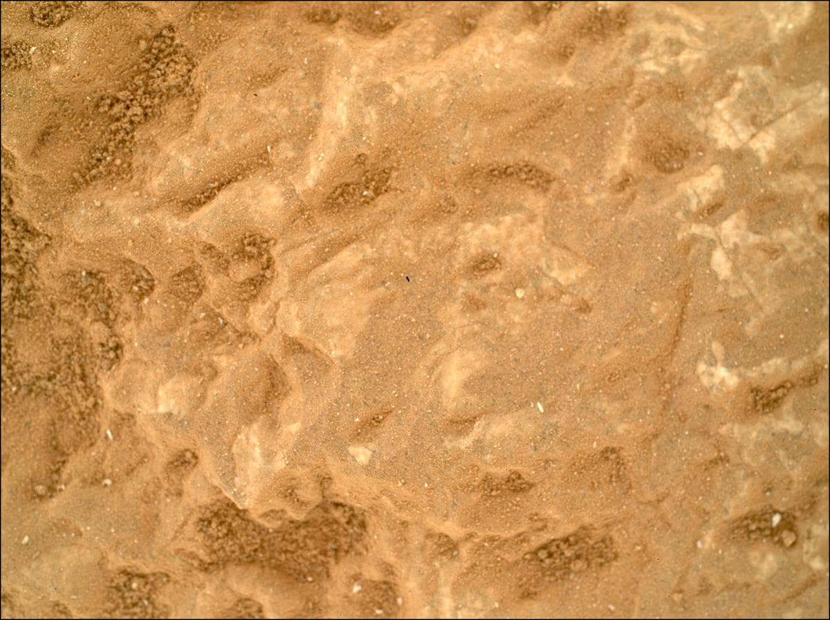 Mars image captured by SHERLOC_WATSON on Perseverance