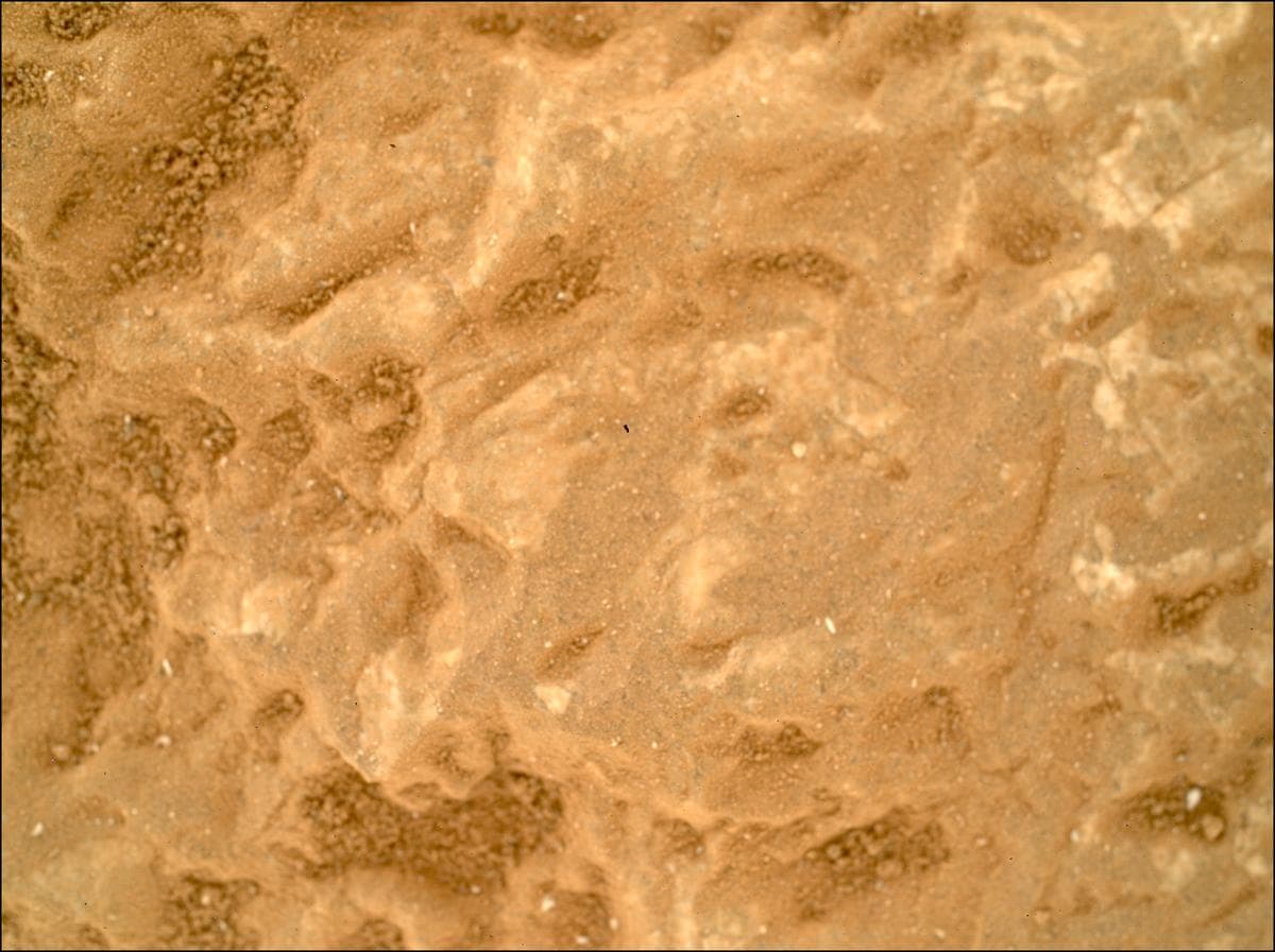 Mars image captured by SHERLOC_WATSON on Perseverance