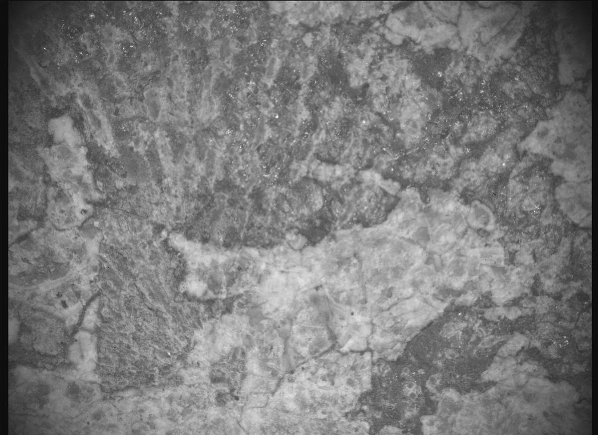 Mars image captured by SHERLOC_ACI on Perseverance