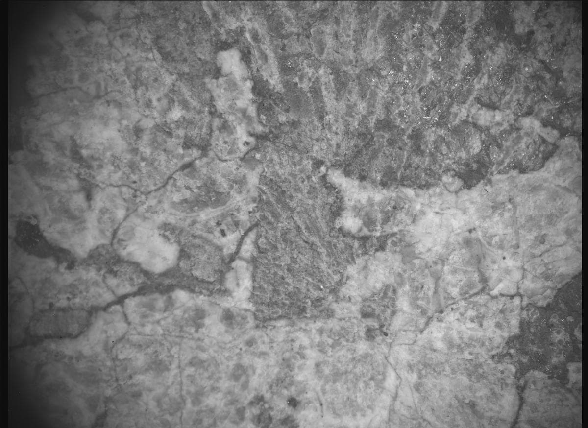 Mars image captured by SHERLOC_ACI on Perseverance