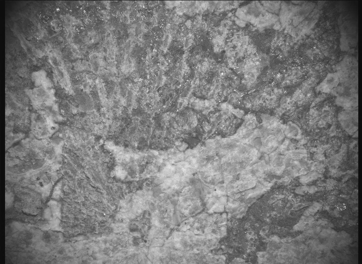 Mars image captured by SHERLOC_ACI on Perseverance