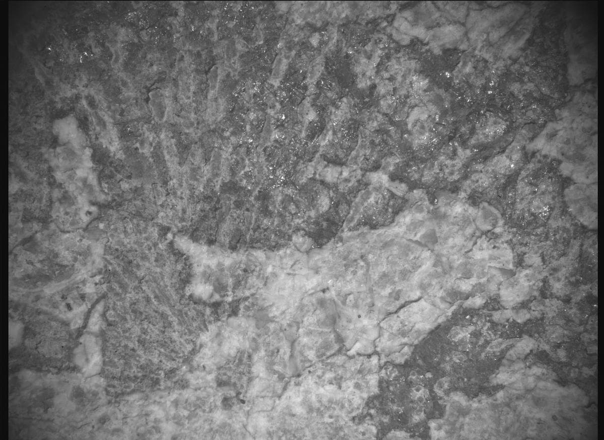 Mars image captured by SHERLOC_ACI on Perseverance