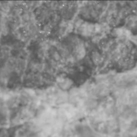 Mars image captured by SHERLOC_ACI on Perseverance
