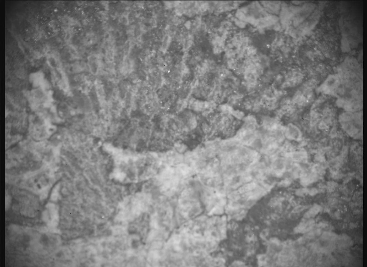 Mars image captured by SHERLOC_ACI on Perseverance