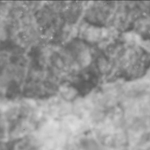 Mars image captured by SHERLOC_ACI on Perseverance