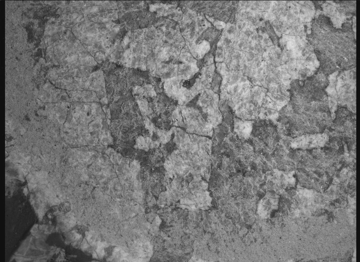 Mars image captured by SHERLOC_WATSON on Perseverance
