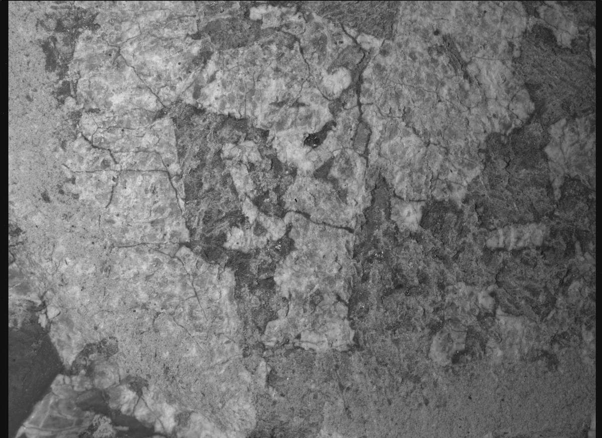 Mars image captured by SHERLOC_WATSON on Perseverance