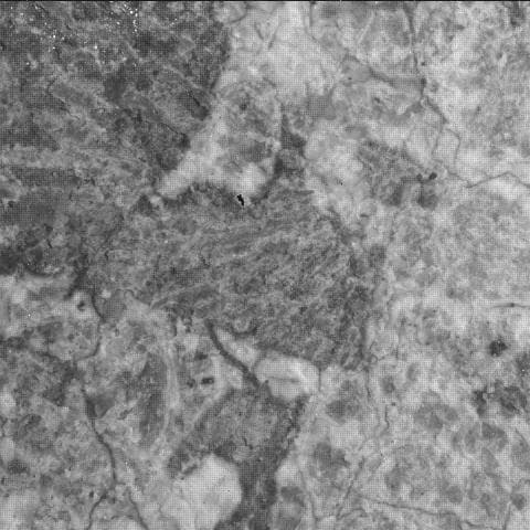 Mars image captured by SHERLOC_WATSON on Perseverance