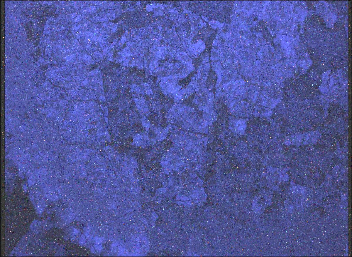 Mars image captured by SHERLOC_WATSON on Perseverance