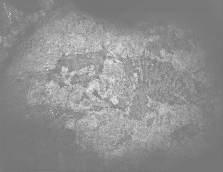 Mars image captured by PIXL_MCC on Perseverance