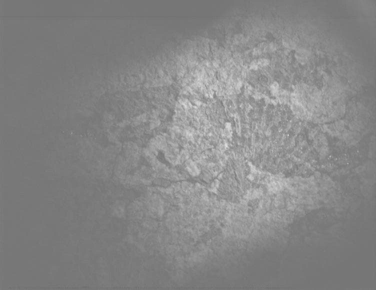Mars image captured by PIXL_MCC on Perseverance