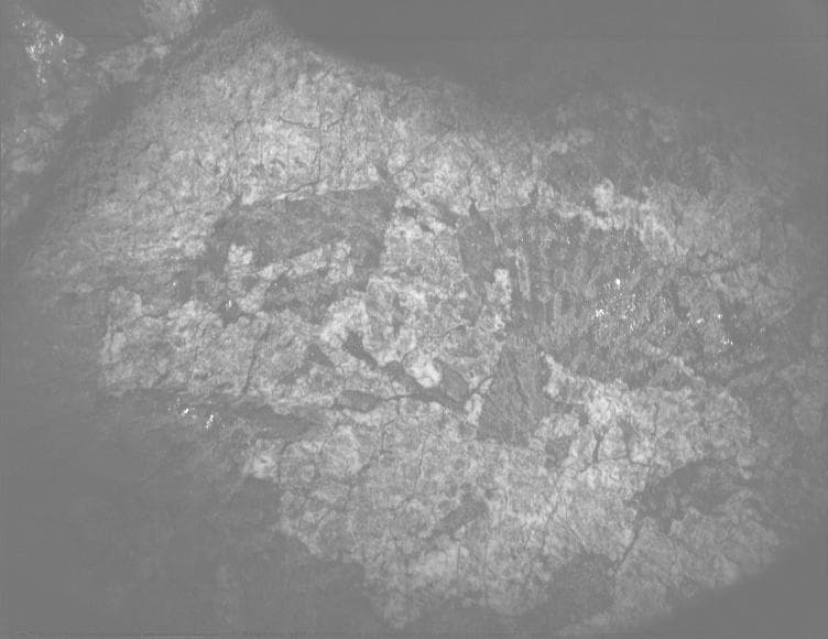 Mars image captured by PIXL_MCC on Perseverance