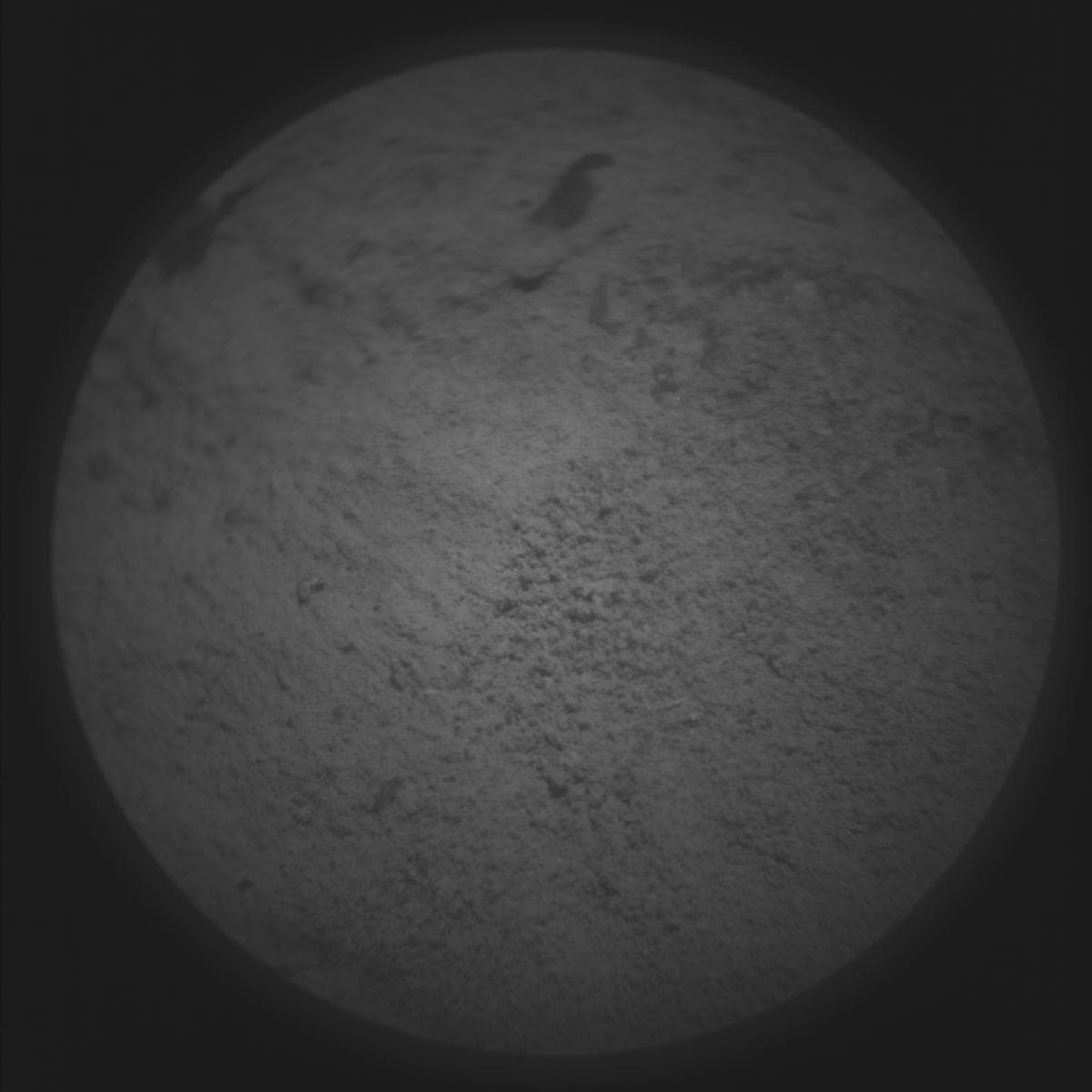 Mars image captured by SUPERCAM_RMI on Perseverance