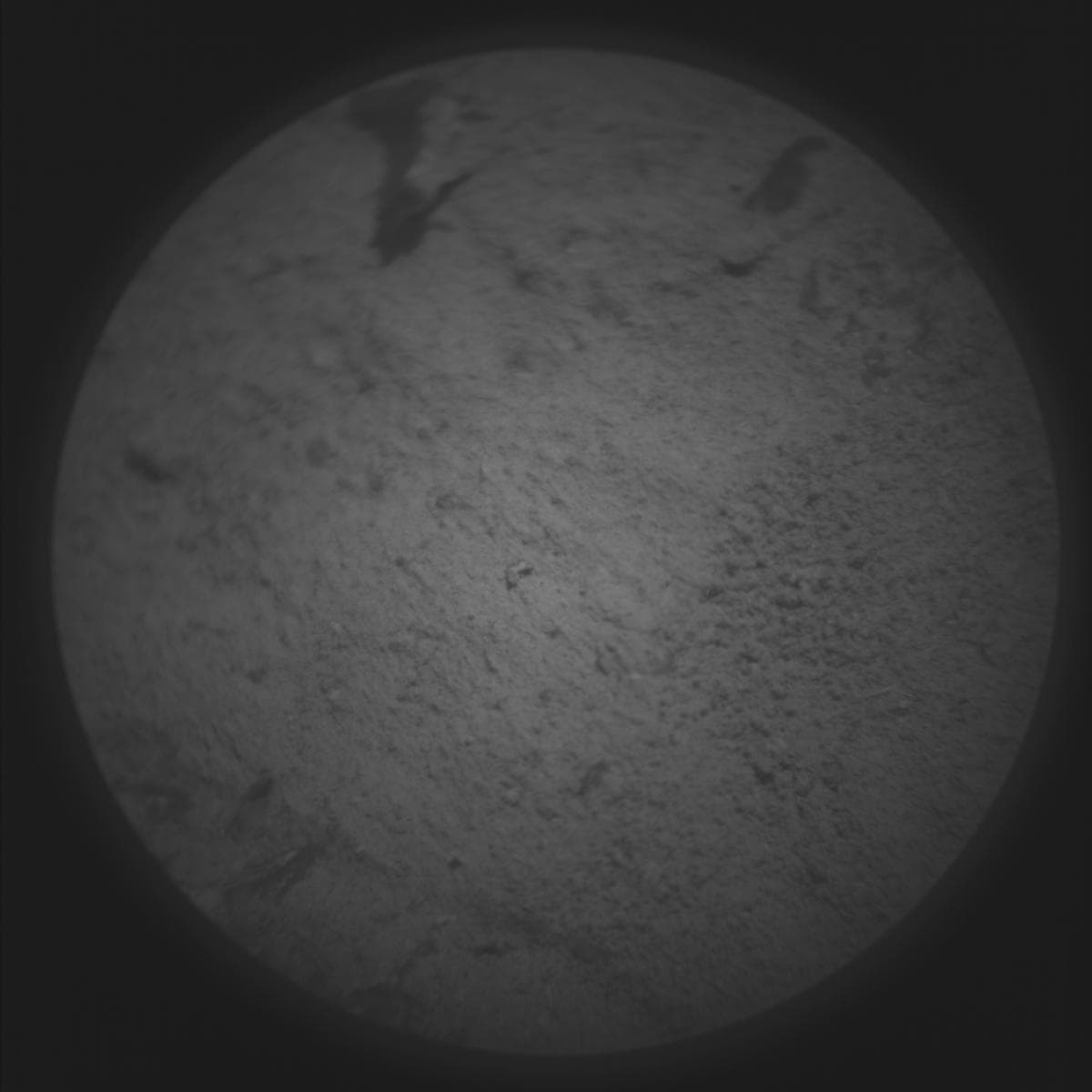 Mars image captured by SUPERCAM_RMI on Perseverance