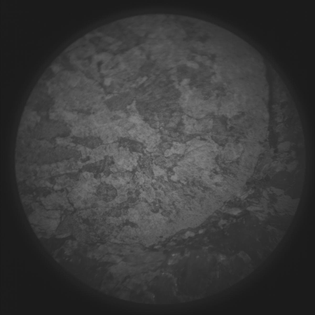 Mars image captured by SUPERCAM_RMI on Perseverance
