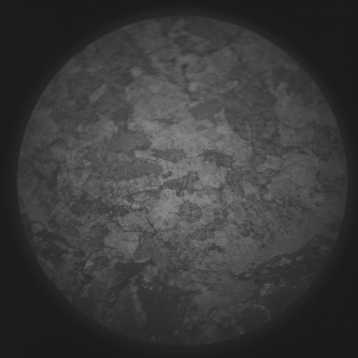 Mars image captured by SUPERCAM_RMI on Perseverance