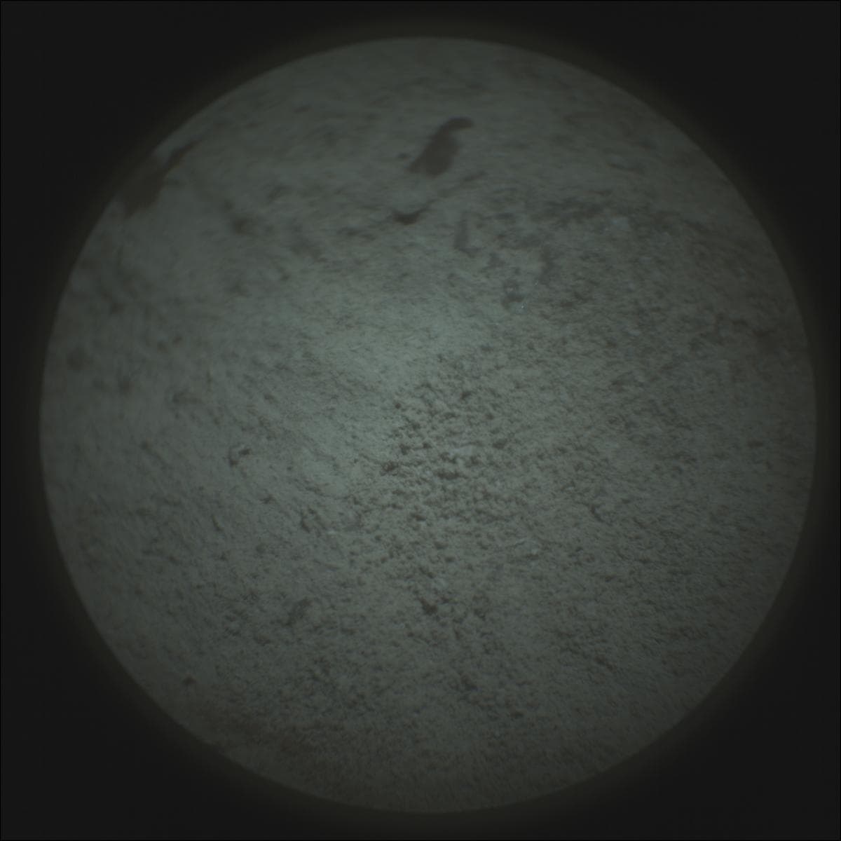 Mars image captured by SUPERCAM_RMI on Perseverance