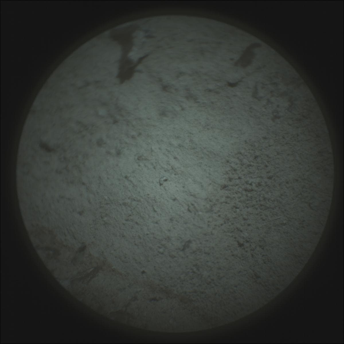 Mars image captured by SUPERCAM_RMI on Perseverance