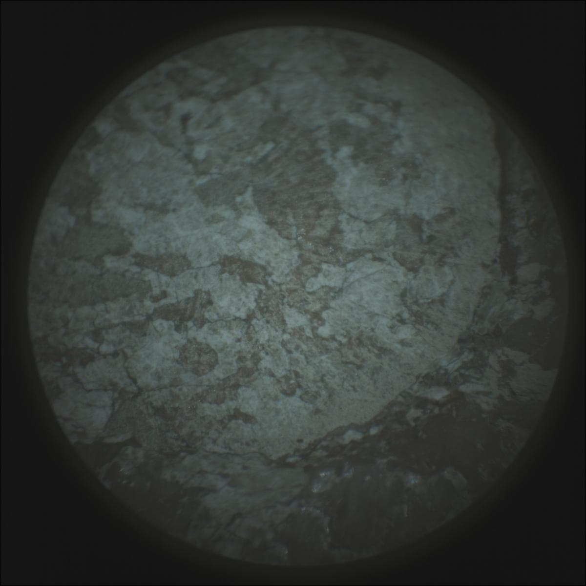 Mars image captured by SUPERCAM_RMI on Perseverance