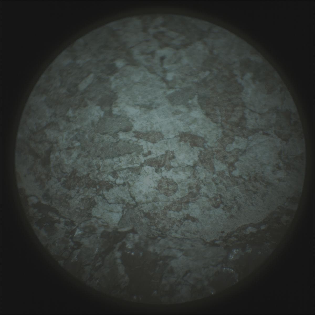 Mars image captured by SUPERCAM_RMI on Perseverance