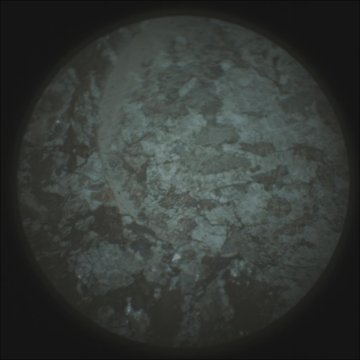 Mars image captured by SUPERCAM_RMI on Perseverance
