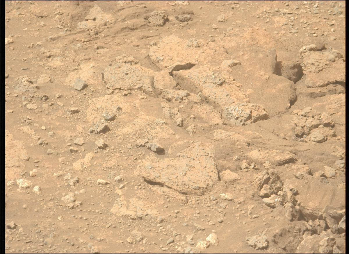 Mars image captured by MCZ_LEFT on Perseverance