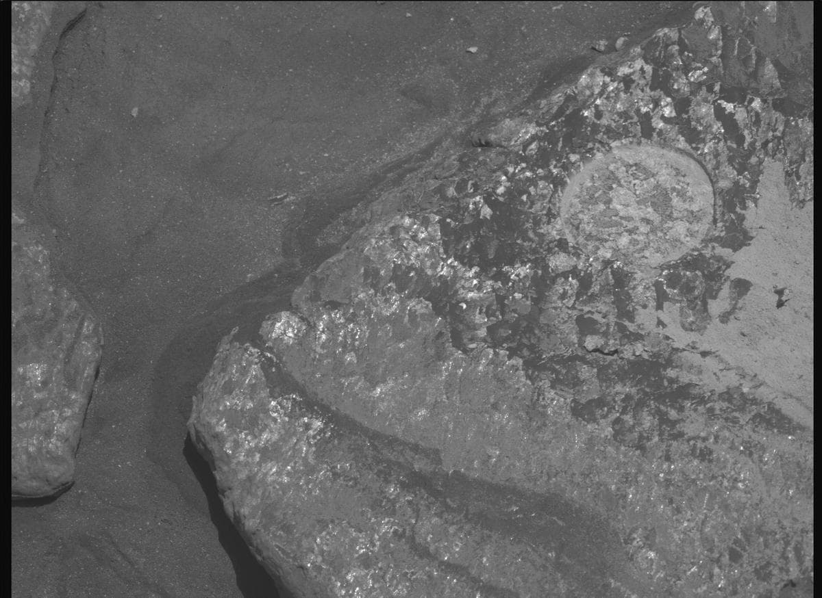 Mars image captured by MCZ_LEFT on Perseverance