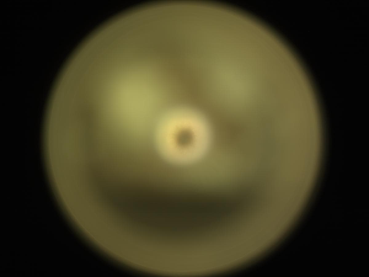 Mars image captured by CACHECAM on Perseverance