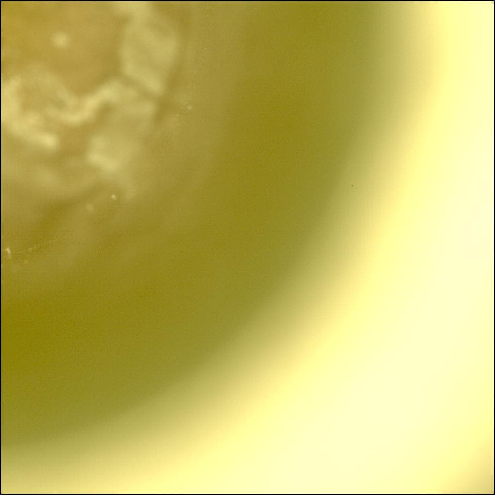 Mars rover photo