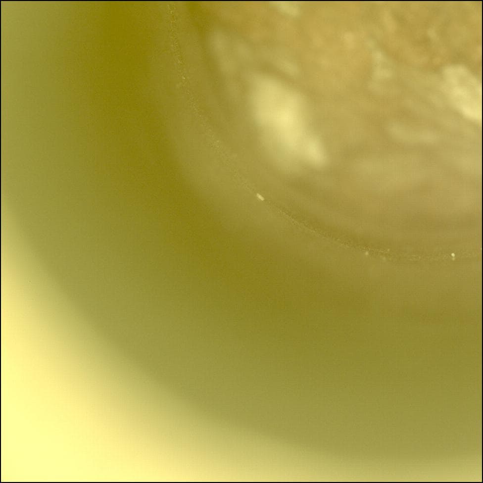Mars image captured by CACHECAM on Perseverance