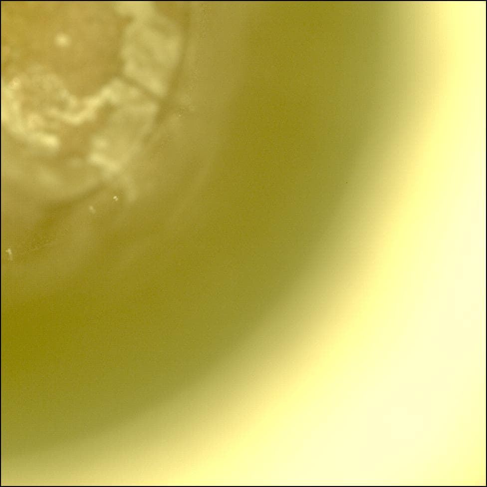 Mars image captured by CACHECAM on Perseverance