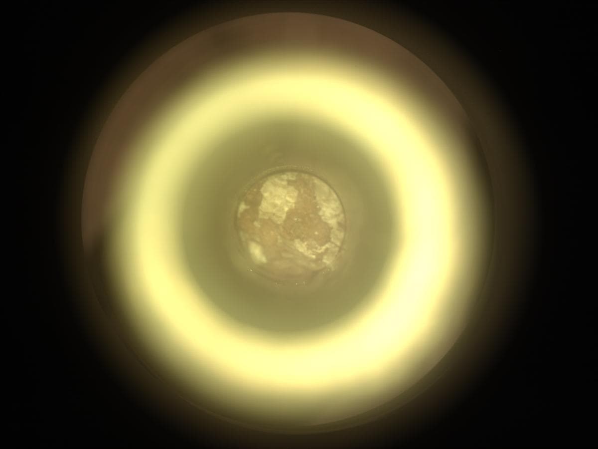 Mars image captured by CACHECAM on Perseverance