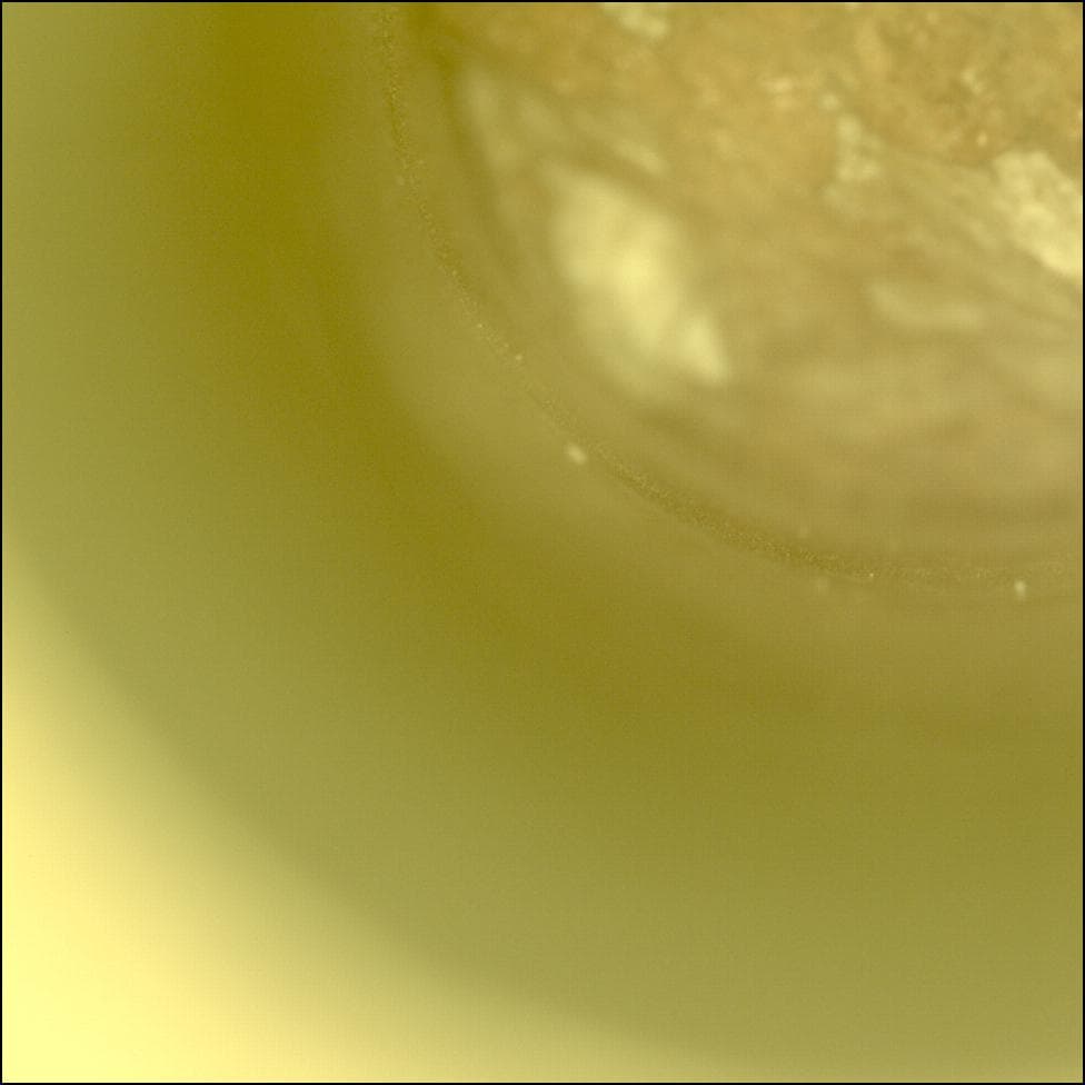 Mars image captured by CACHECAM on Perseverance