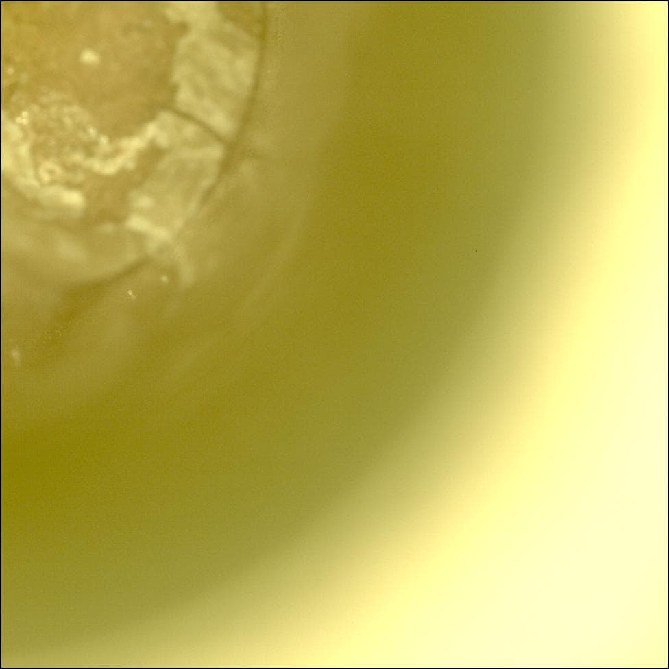 Mars image captured by CACHECAM on Perseverance