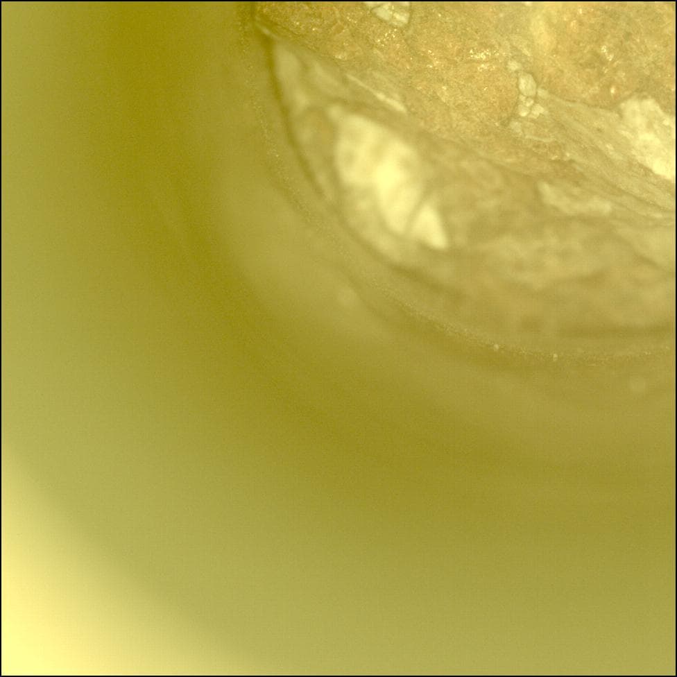 Mars image captured by CACHECAM on Perseverance