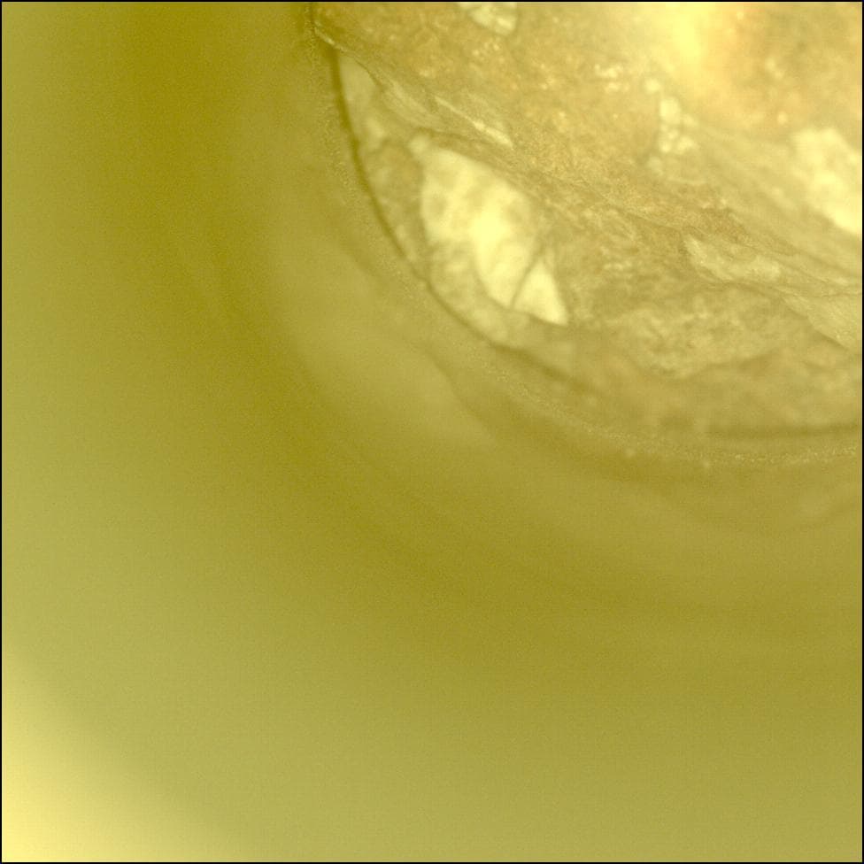 Mars image captured by CACHECAM on Perseverance