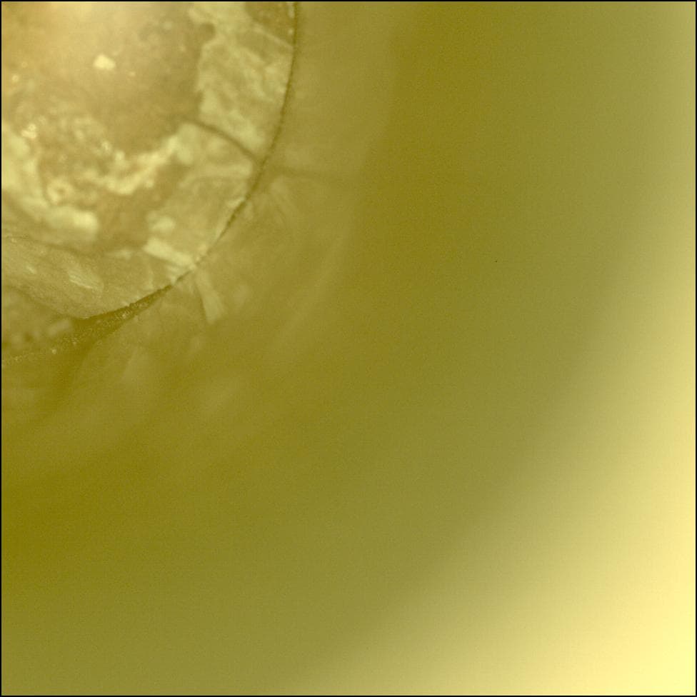 Mars image captured by CACHECAM on Perseverance