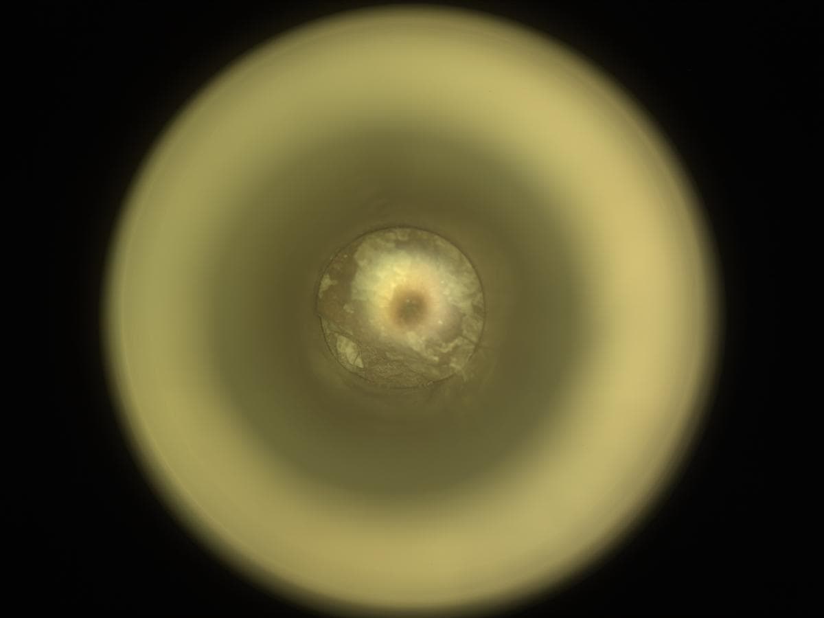Mars image captured by CACHECAM on Perseverance