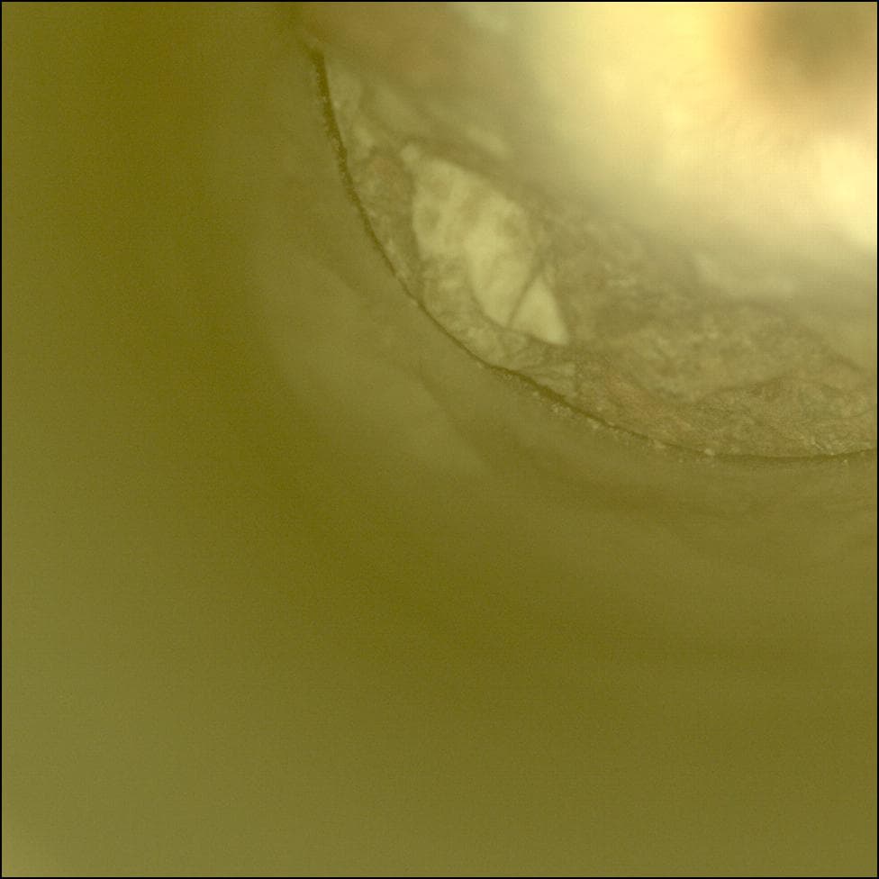 Mars image captured by CACHECAM on Perseverance