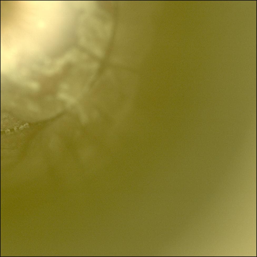 Mars image captured by CACHECAM on Perseverance