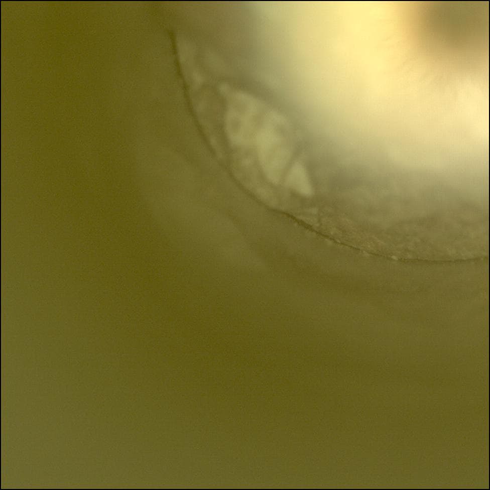 Mars image captured by CACHECAM on Perseverance